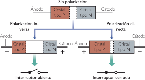 Polarización directa e inversa de un diodo